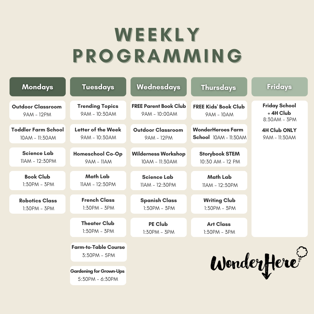 Program Comparison Chart (1080 × 608 px) - WonderHere