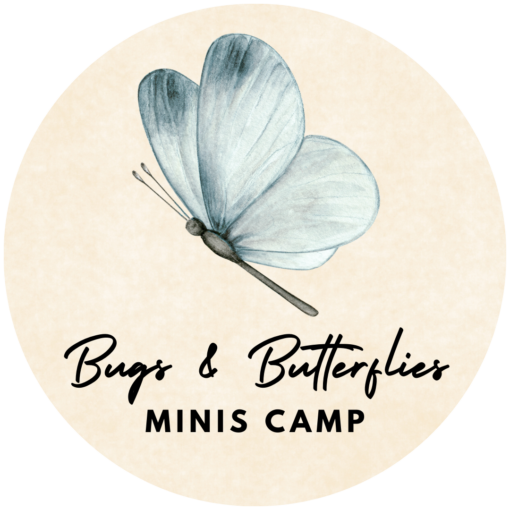 Minis Bugs & Butterflies Camp (Lakeland, June 2-6)