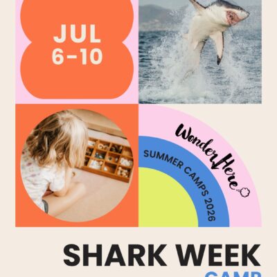Elementary Shark Week Camp (Lakeland, July 6-10 )